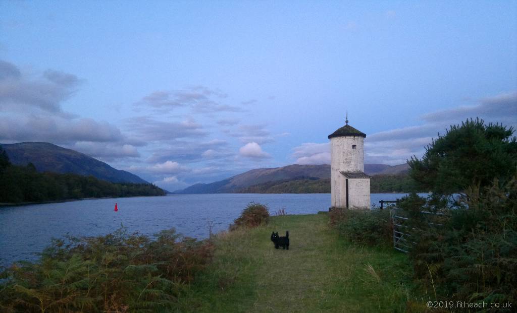 Neachdainn, the Scottish Terrier, standing at the loch shore with a glint in his eyes.